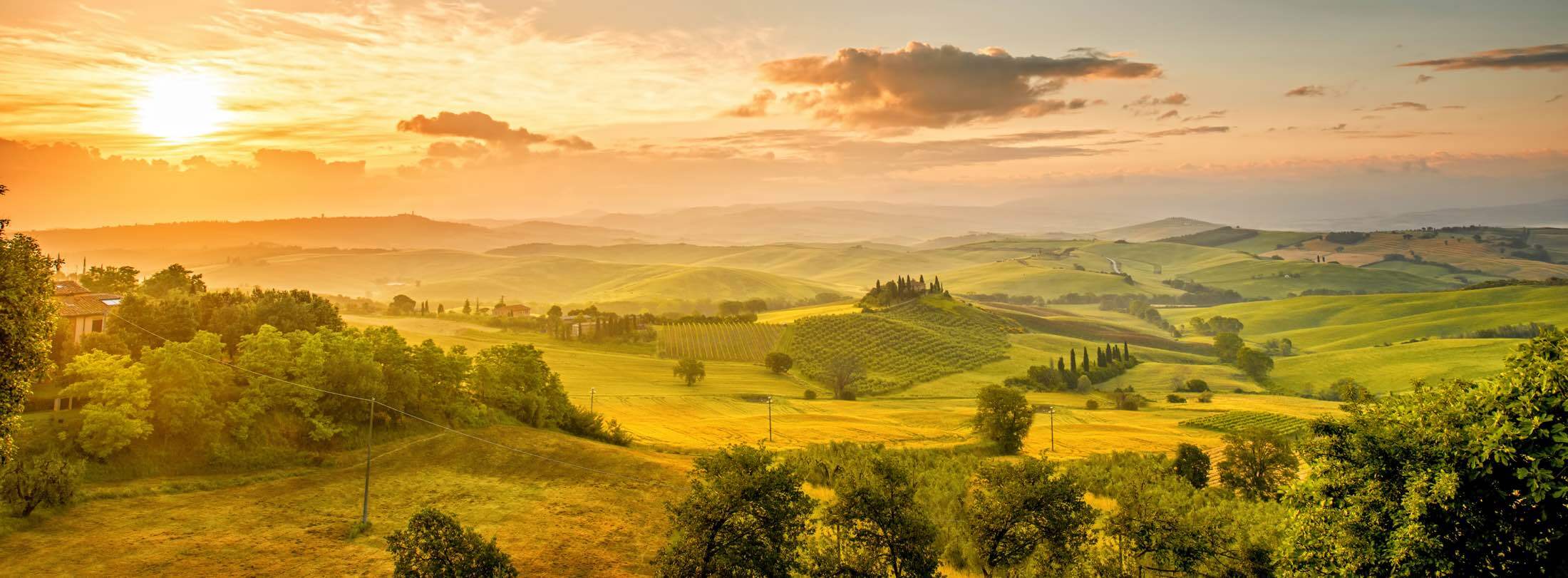 weinlandschaft suedeuropa