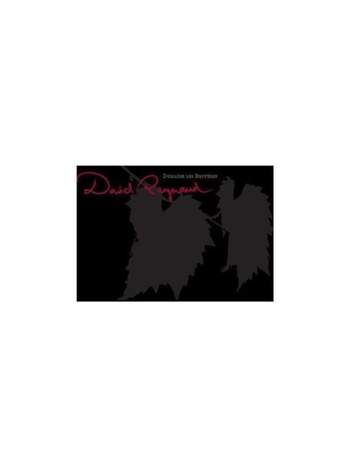 DavidReynaud_Logo1