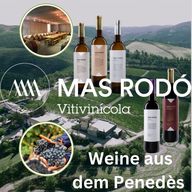 Weißwein & Rotwein aus dem Penedès