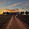 Atardecer.jpg