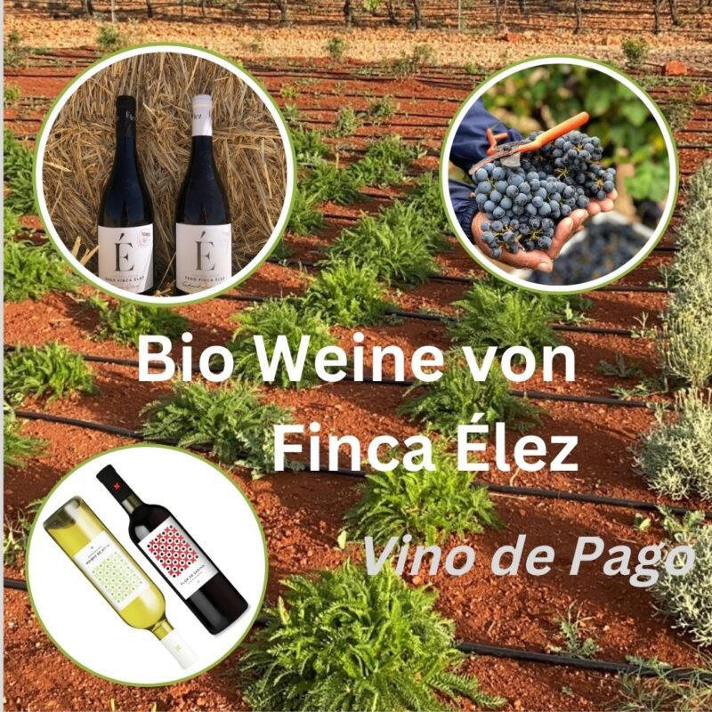 vino de pago
