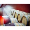 Verderrubi_bodega1