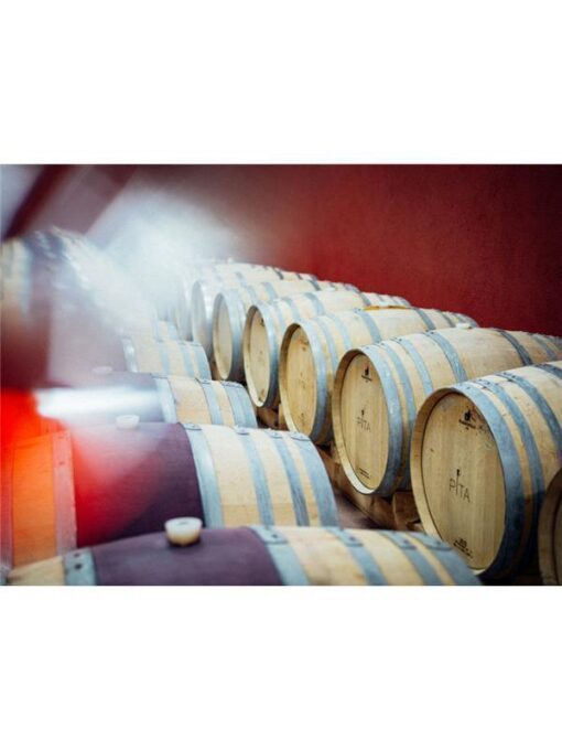 Verderrubi_bodega1