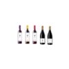 Vega_Aixala_5Weine