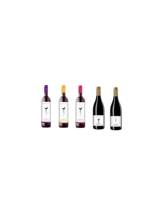 Vega_Aixala_5Weine