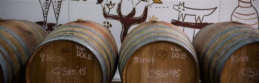 vins-de-pedra-2.jpg