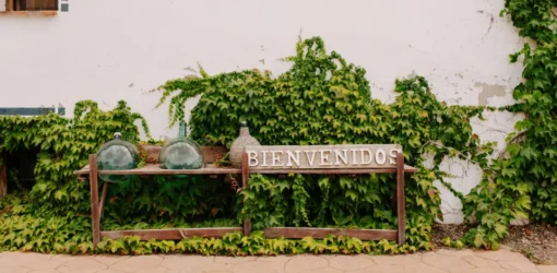 PdT_Bienvenidos1.webp