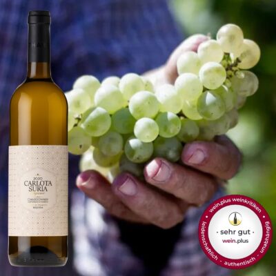 Carlota_Suria_ Chardonnay