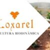 Loxarel_LogoSchafe04.png