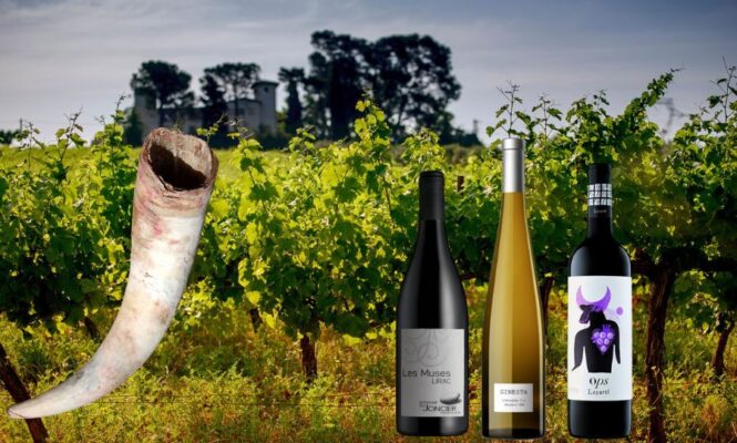 5 Vorteile biodynamischer Weine