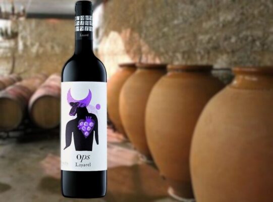 Loxarel OPS biodynamischer Rotwein in Amphore gereift