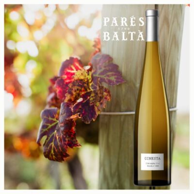 Parés Baltà Ginesta biodynamischer Weißwein aus Katalonien