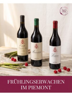 Drei Flaschen Tenute Sella 1671 – Orbello, Bramaterra und Lessona – auf einem rustikalen Holztisch mit Weingläsern und frischem Spargel