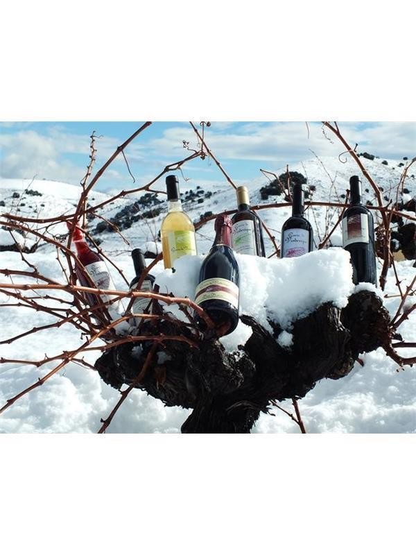 17495 Product WeineImSchnee1