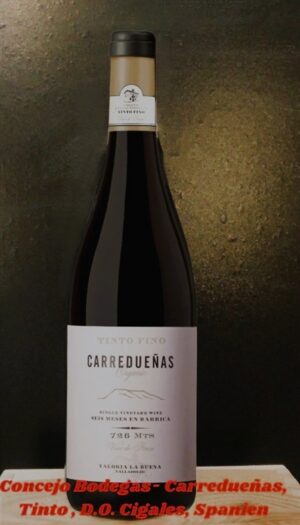 Carreduenas16_hi