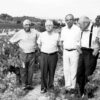 37689 Product VinsElCep_historia1.jpg