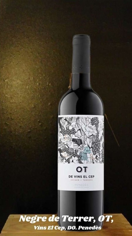 37716 Product VinsElCep_Negre_OT_vo3.jpg