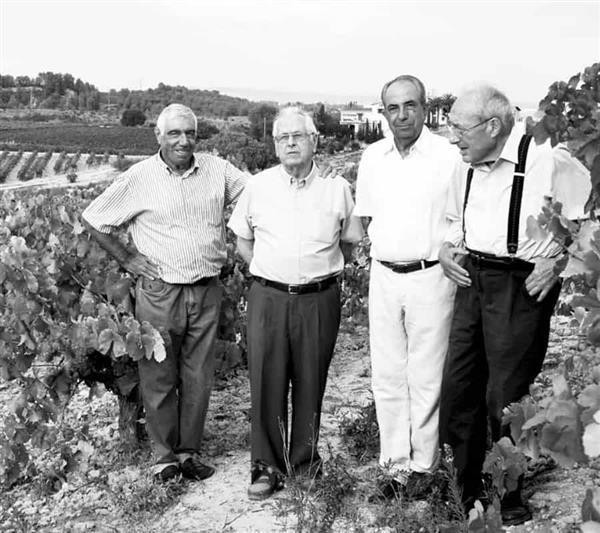 37781 Product VinsElCep_historia1.jpg