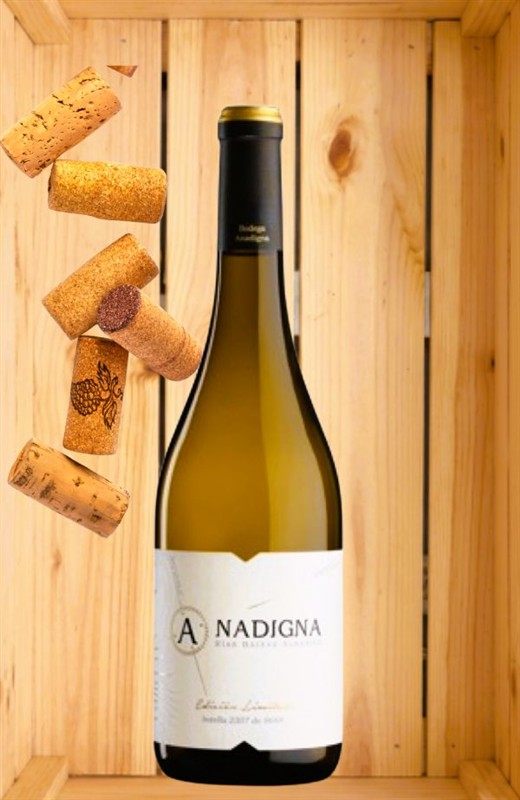 40774 Product Anadigna_Tradicional_vo3.jpg