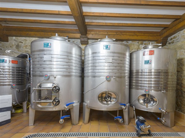 40808 Product rias-baixas-albarino-anadigna-cubas-acero.jpg