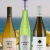41063 Product LaPasajera_Verdejo_vo