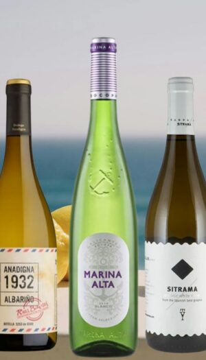 LaPasajera_Verdejo_vo