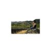 34729 Product VegaAixala_EvaVinyes1